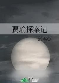 Jia Yu's Detective Case