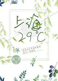 Shanghai 29℃
