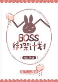 Boss kidnapping plan [Comprehensive]
