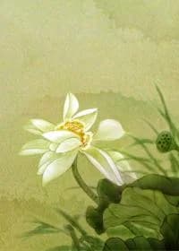 Yi Ren from afar