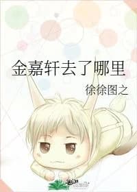 Where did Jin Jiaxuan go?