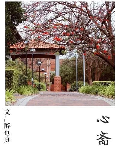 Xin Zhai