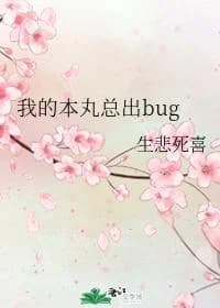 My Honmaru always has bugs