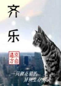 Qi Le
