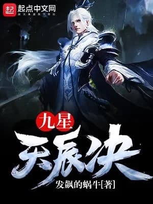 Cover of Nine Heavenly Star Art