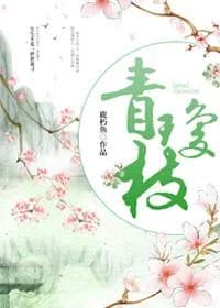 Qingqiongzhi