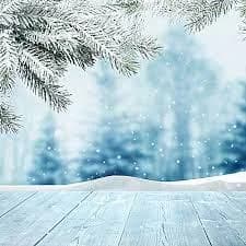 North Snow and South Fragrance