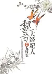 Wei Jin big broker