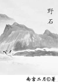 wild stone