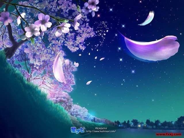 Begonia floating in the moon