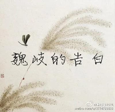 Wei Qi's Confession