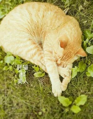 fat cat and beauty
